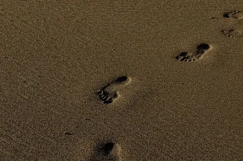 Fotspår som leder bort över en öde sandstrand